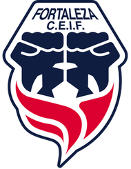 福塔雷绍查U19logo
