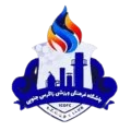 南扎格罗斯logo