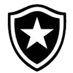博塔弗戈女足logo