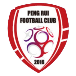 北京通州鹏瑞通程logo
