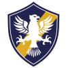 巴西复古logo