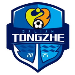 大连桐哲logo
