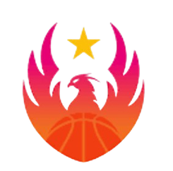 坎皮纳斯联合女篮logo
