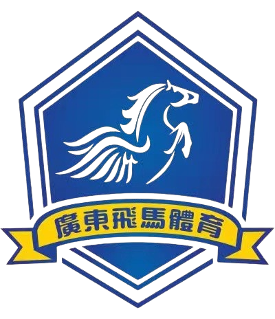 广东飞马 广东飞马
