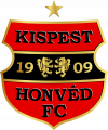布达佩斯捍卫者U19logo