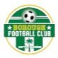 布洛夫logo