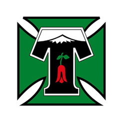 特木科女足logo