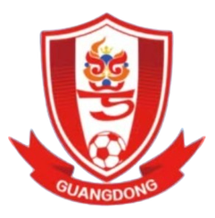 广东广州数科女足logo
