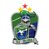 米纳斯女足logo