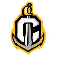阿雷西博logo