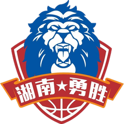 长沙勇胜U21logo