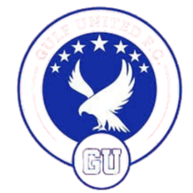 海湾联U21logo
