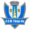 ACS特尔古日乌logo