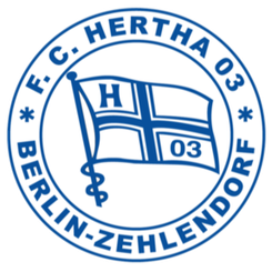 萨伦多夫赫塔队logo