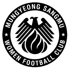 闻庆尚武女足logo