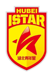 湖北青年星logo