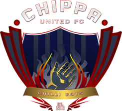 奇帕联合logo