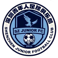 深圳青年人logo