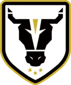 公牛学院女足logo