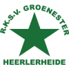 RKSV格罗内斯特logo