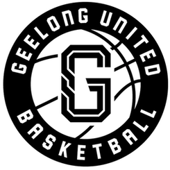 吉隆联女篮logo