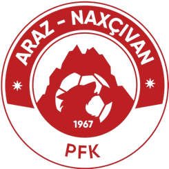 纳希切万logo