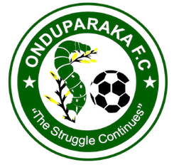 安帕卡logo