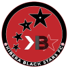 基贝拉黑星logo