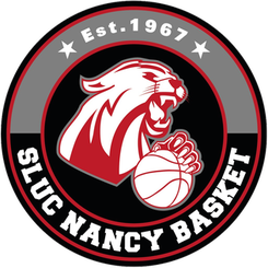 南锡logo