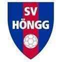 洪格logo