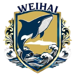 威海队 威海队