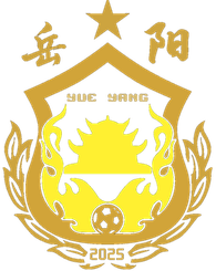 岳阳队 岳阳队