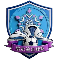 哈尔滨队